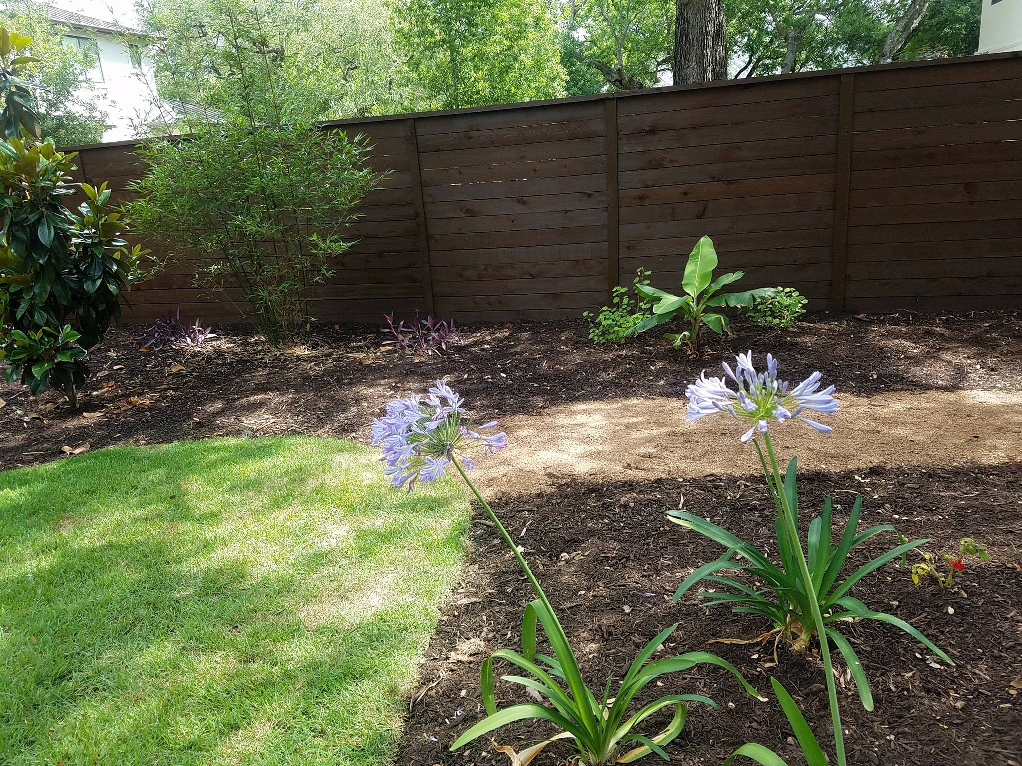 fence-staining-austin-tx